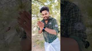 Download lagu #panju mittai selai katti song ❤️✨ mp3