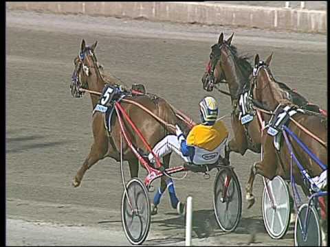 Trotto 13/05/2016 - 4° corsa