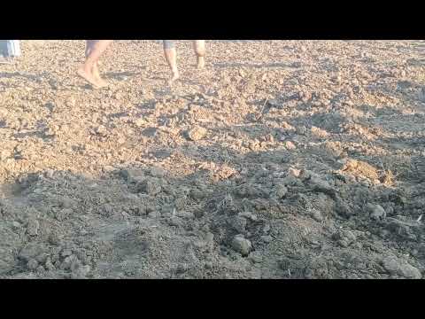 Mangal Dangal kusti Dilawar Rajput Pahlwan Jammu vs Surmu Pahlwan Patyala #kushti