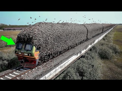 1 Hour of Incredible Moments Caught on Camera | Best of the Week