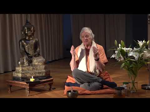 W.I.S.D.O.M.-Onlinekurs - #16 Diskussion "Vipassana"