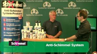 Schimmel entfernen an Wand & Tapete