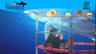 DIA 2 Expo Tiburon26