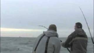 Chesapeake Bay Fishing Action #11