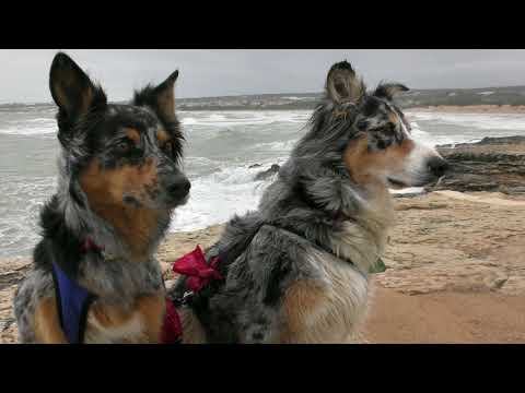 2018.03.22 EURO-Trip ITALIEN - SIZILIEN 2017/18  "Am Fenster" von CITY mit Blick zurück