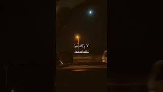 خليتني احب الحب لا وكمان بغير حالات واتس اب ل تامر حسني