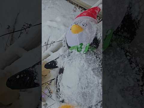 Penguin Village