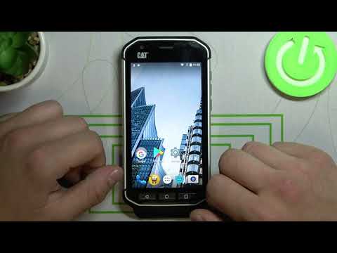 How to Change Screen Timeout on CAT S40 – Display Settings