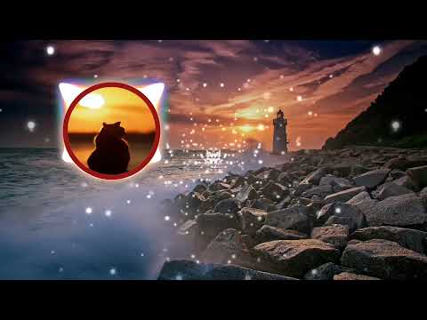 Audioiko Ft. Ricky Peralta - I Feel Good #music #musicvideo #musical