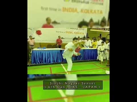 Perfect Traditional MAWASHI GERI || by SHINJI NAGAKI SENSEI || vid #240 || #karate #viral #tutorial