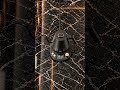 Pava Eléctrica Digital Aumax Nera Acero Black & Gold 1 Litro
