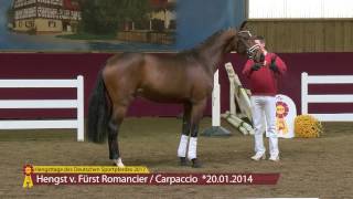 Video of Fidibaldi