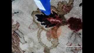 preview picture of video 'How to Clean Carpet: Five Different Rug Cleaning Methods in Riviera Beach'