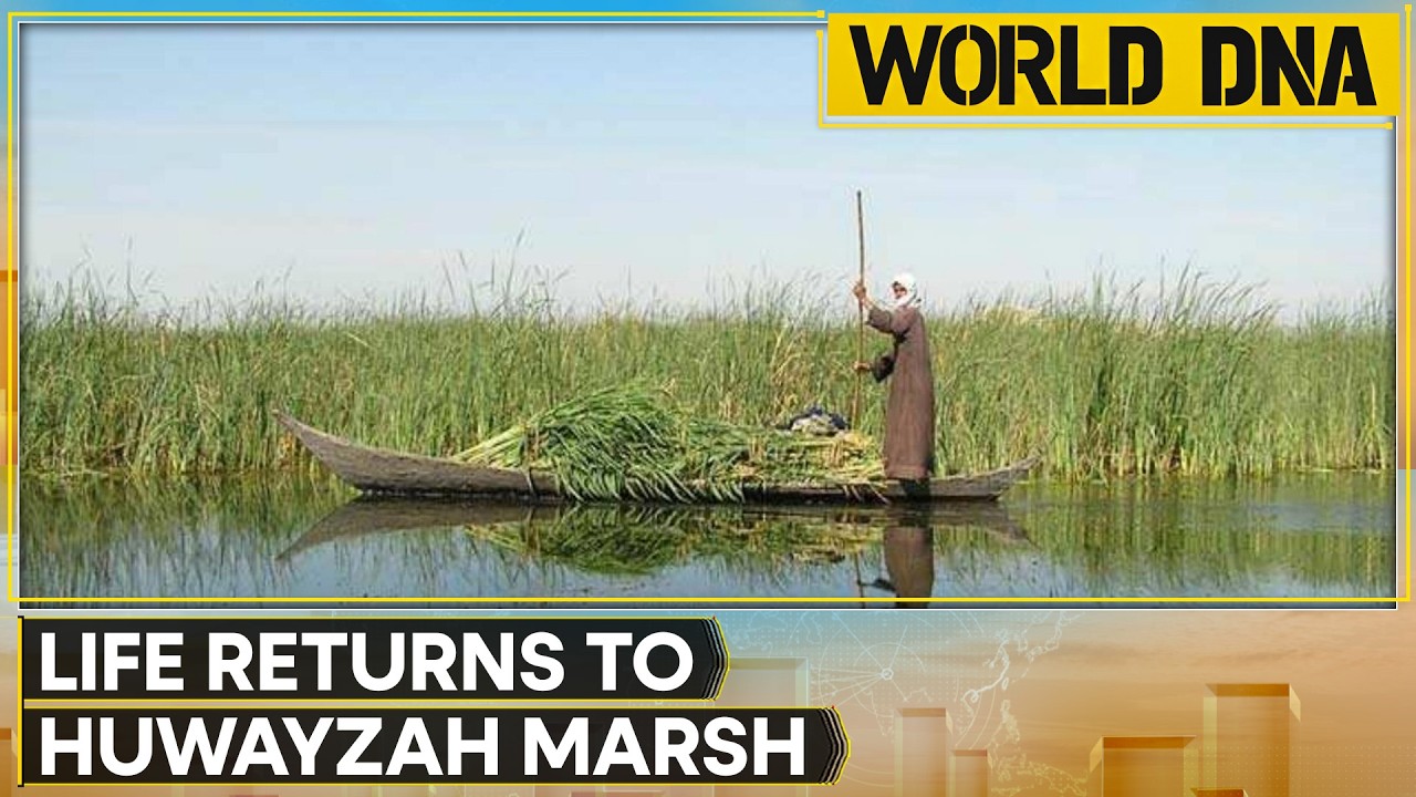 Rains Revive Hawr Al Huwayzah Marsh in Southern Iraq | World DNA News