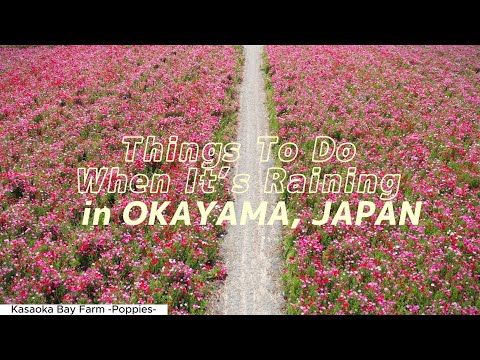 Things To Do When It’s Raining in OKAYAMA, JAPAN