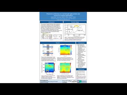 RPLAS - London Plasmonics Forum 20201 -Flash Poster Presentation -  Xiaofei Xiao