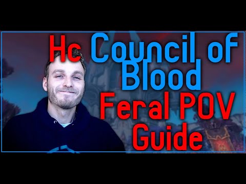 Council of Blood - Heroic Castle Nathria Feral POV Guide - Psybearslat