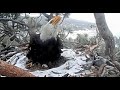 Hey I Need A Break Jackie Calls To Shadow 3 26 21 Big Bear Eagles