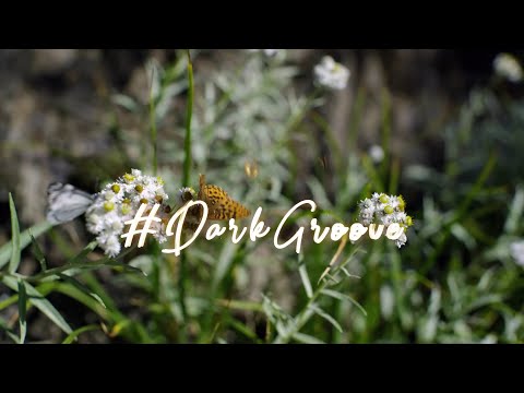 Hartley - We Get Deep (Original Mix) | DELECTABLE DARK BEATS 🖤🥀🖤 #DarkGroove | Aurora Fields Records