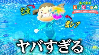 リスナーから1億ベル貰った乞食が自力でお金を稼いでみた結果。【あつまれどうぶつの森 / あつ森】