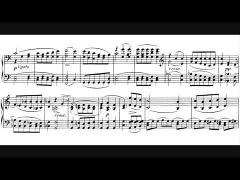 Franz Schubert - Piano Sonata D. 958