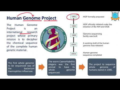 What is Human Genome Project ? || Human Genome Project అంటే ఏమిటి?