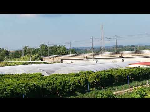 Frecciarossa 9523 Torino P. N. - Reggio CL C. Le