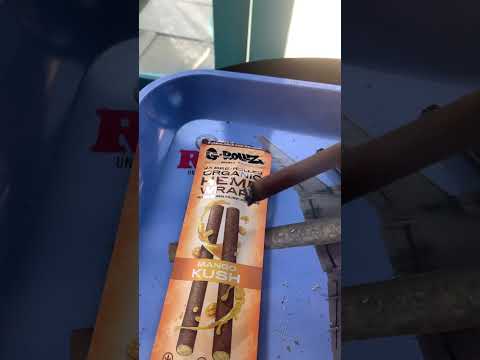 #rawlife #stonersonly #raw #high #medicaldrugs #baked #hemphealing #medicalmarijuanas #rollup #