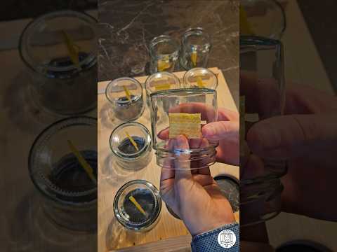 How I Prepare Jars for Comb Honey Production 🐝🍯 #bee #beekeeping #пчеловодство #honey #honeybee