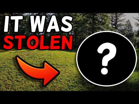 Discraft STOLE From Innova Discs?!