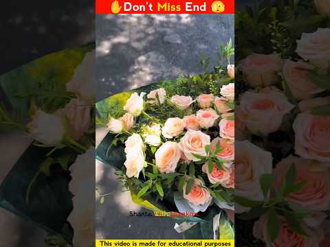 Best Flower 🌺 Gifts #music #gift #flowers #roseflower