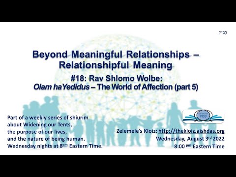 Relationshipful Meaning #18 - Rav Shlomo Wolbe's Olam haYedidus part 5