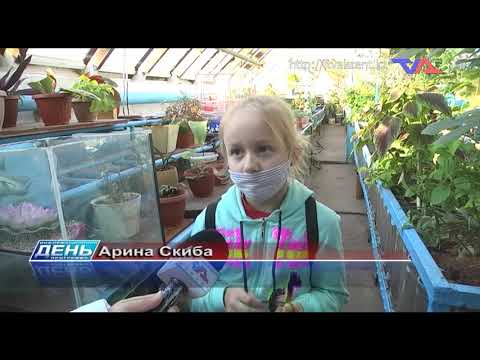 Выпуск программы "День" от 6 ноября 2020г.