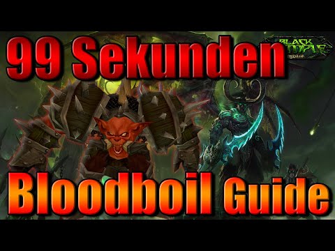 Gurtogg Bloodboil in 99 Sekunden - Schwarzer Tempel - Boss Guide (Deutsch)