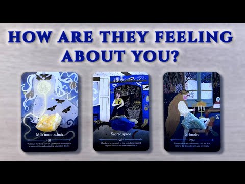 💭 Their True Feelings for You + Next Move | Love Tarot Reading  | Timeless 💖 | Pick A Card 💞