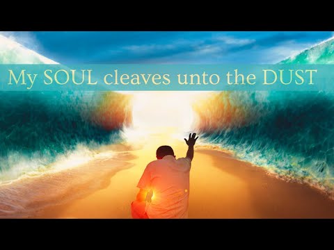 Psalm 119 | Part 4 | I have chosen the Way of Truth | YOUR Judgments have I laid before me.