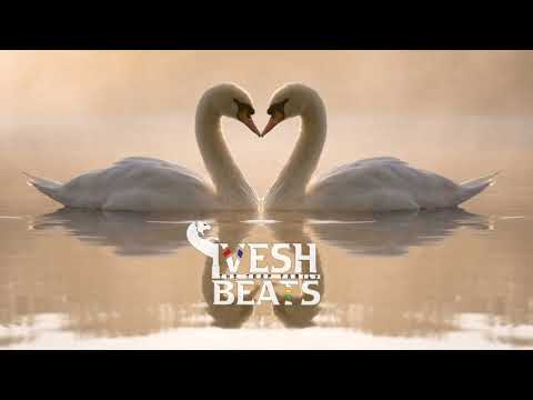 Jay kiD x Namenj - Loving ( Ragga Mix )