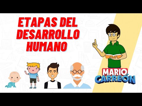 Etapas del Desarrollo Humano