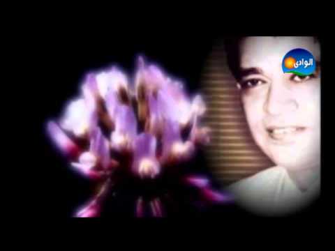 محرم فؤاد غدارين