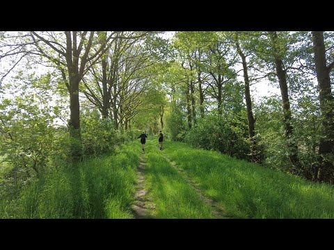 Drentse Hooglanden Wandel2daagse, Nieuw-Balinge. Dag 1: 31 km