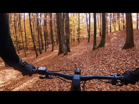 Plimbare prin padurile de langa Vladesti, Valcea