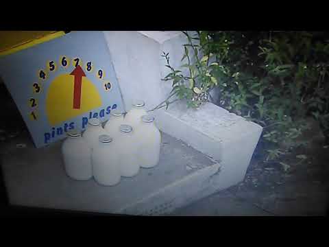 Teletubbies: Numbers 7 TV Event