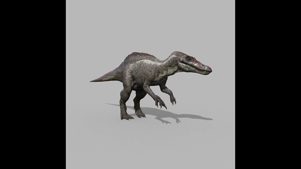 Suchomimus Tenerensis - 8K animated 3D Model