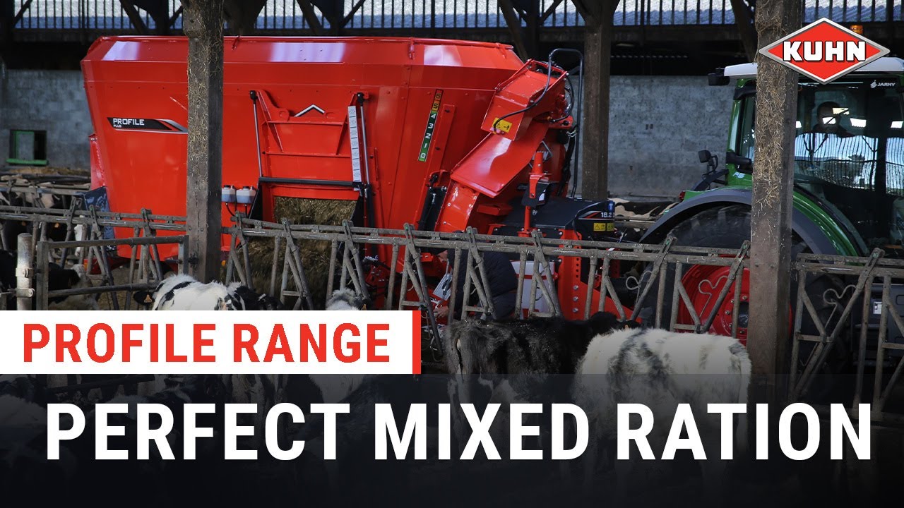 Video PROFILE PLUS DL / CL