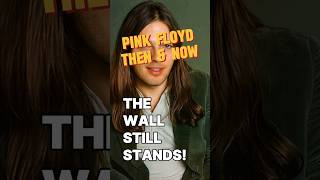 A Journey Through Time! | Pink Floyd Then &amp; Now
