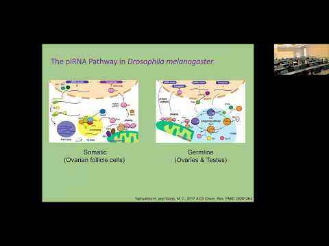 Peter Atkinson, UC Riverside