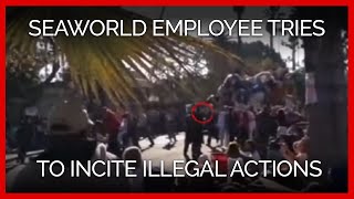 SeaWorld Espionage Campaign Busted; Employee Caught Trying to Incite Illegal Actions
