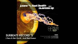 J.Sanz & Xavi Zenith - Acid black lemon