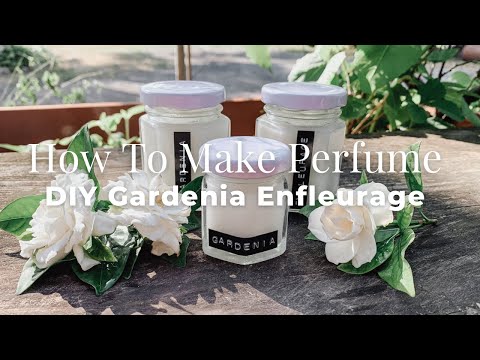 Cómo hacer perfumes naturales | Enfleurage casero | Aceites esenciales caseros para perfumes sóli...