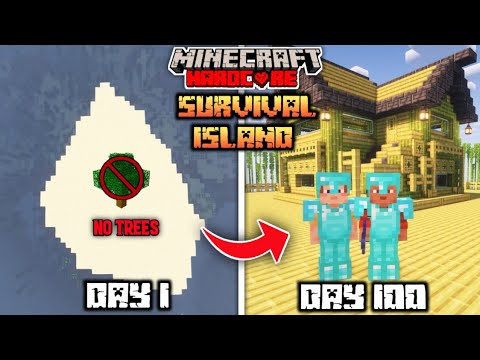 We Survived 100 Days On a Deserted Island With Only One Bamboo | Duo 100 Days